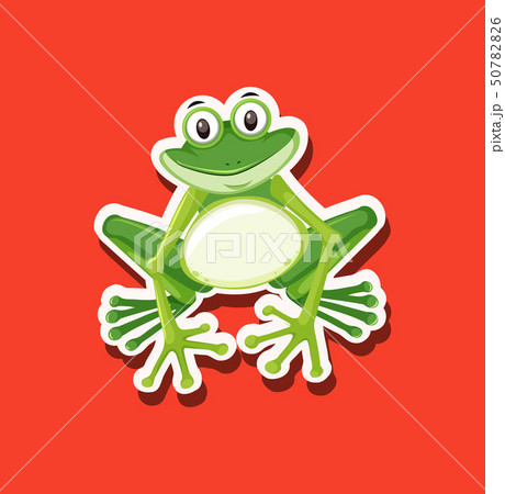 A frog character animal A frog character animal 50782826