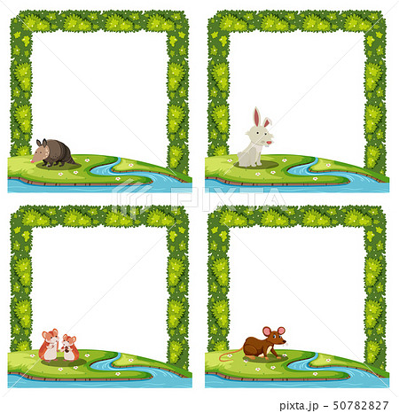 set of nature borders set of nature borders 50782827
