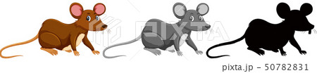 Set of rat animal 50782831