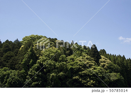 山と緑 山と緑 50785014