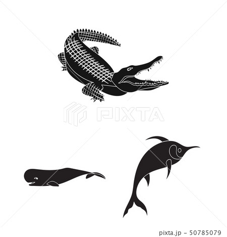 Vector illustration of water and drop symbol. Set of water and splash stock symbol for web. 50785079