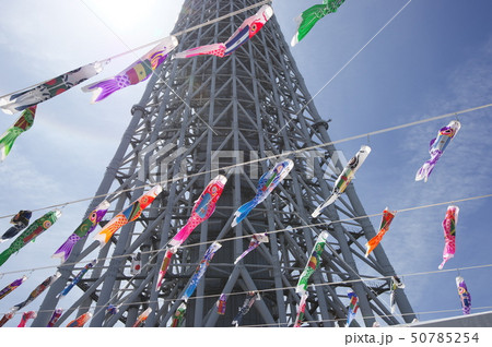 スカイツリーとこいのぼり スカイツリーとこいのぼり 50785254