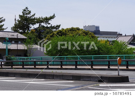 新馬場駅近く、目黒川下流の街並み 新馬場駅近く、目黒川下流の街並み 50785491