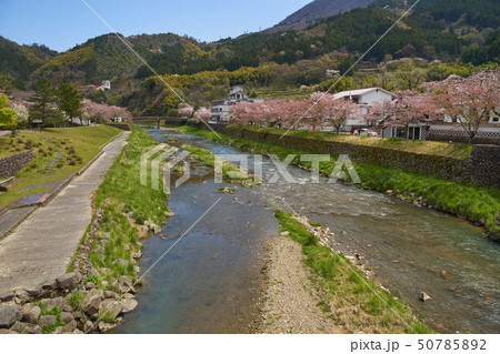 島根(山陰の小京都)の津和野町の津和野大橋の下から東側を見る 50785892
