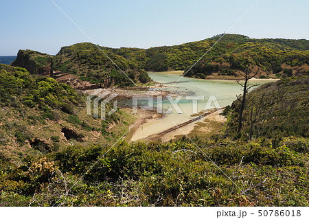 辰の島(長崎県:壱岐) 辰の島(長崎県:壱岐) 50786018