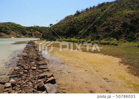 辰の島(長崎県：壱岐) 50786035