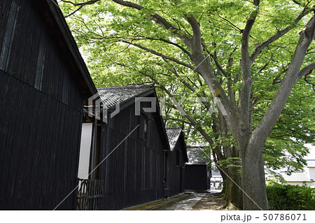 山居倉庫(山形県酒田市) 山居倉庫(山形県酒田市) 50786071