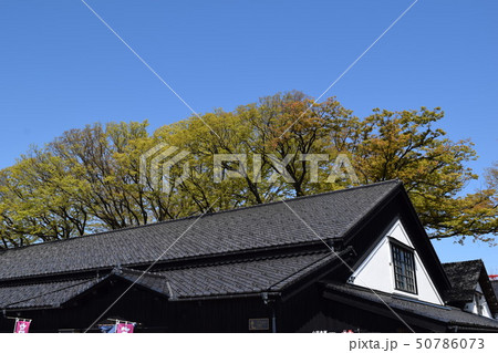 山居倉庫(山形県酒田市) 山居倉庫(山形県酒田市) 50786073