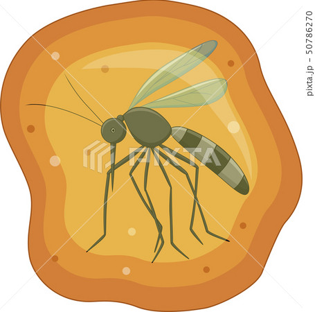 Illustration of Mosquito in yellow amber fossil 50786270