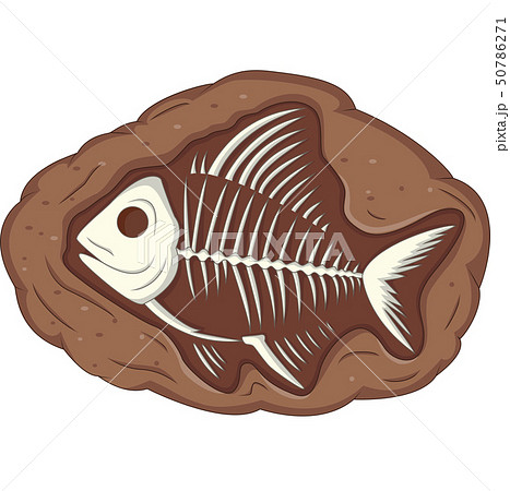 Illustration of underground fish fossil Illustration of underground fish fossil 50786271
