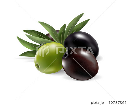 Olives and leaves isolated on transparent background. Photo-realistic vector, 3d Olives and leaves isolated on transparent background. Photo-realistic vector, 3d 50787365