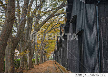 山居倉庫の秋景色 50787675