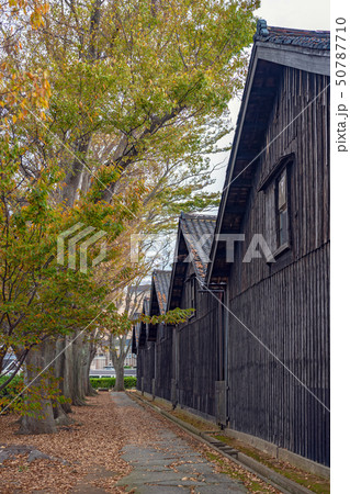 山居倉庫の秋景色 山居倉庫の秋景色 50787710