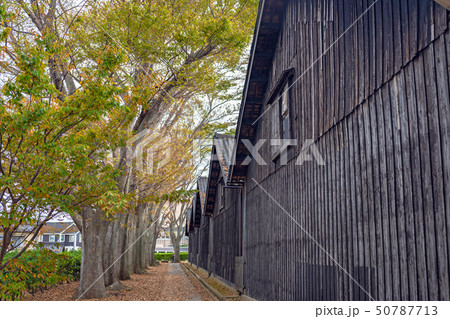 山居倉庫の秋景色 山居倉庫の秋景色 50787713