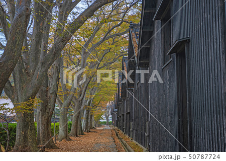 山居倉庫の秋景色 50787724