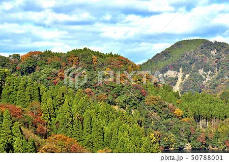 美しい絶景の紅葉風景 Autumn scenery with beautiful scenery 50788001