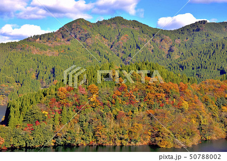 美しい絶景の紅葉風景 Autumn scenery with beautiful scenery 50788002