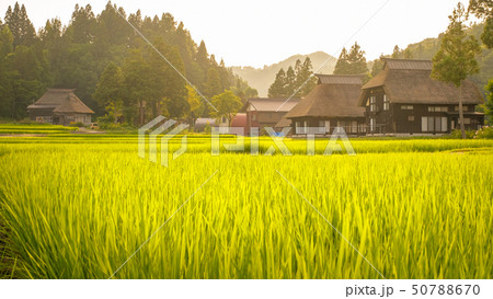 夏の農村風景 （荻ノ島環状集落の夕暮れ） 50788670