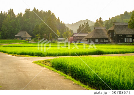 夏の農村風景 (荻ノ島環状集落の夕暮れ) 夏の農村風景 (荻ノ島環状集落の夕暮れ) 50788672