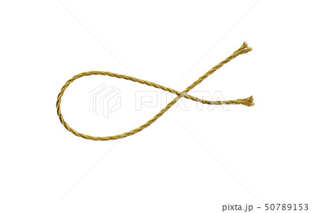 Golden metallic rope 50789153