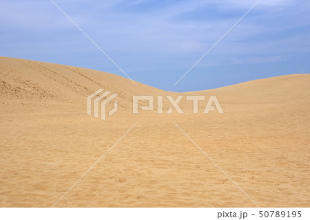 鳥取砂丘 50789195