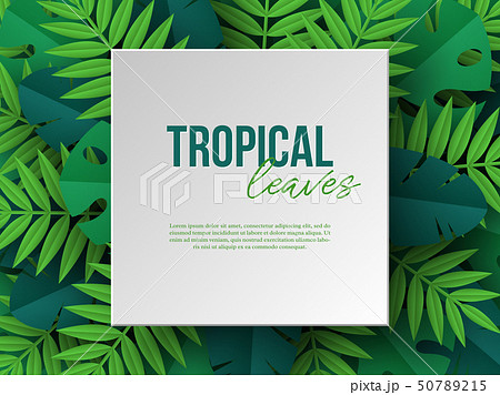 Banner with exotic jungle tropical palm leaves. 50789215