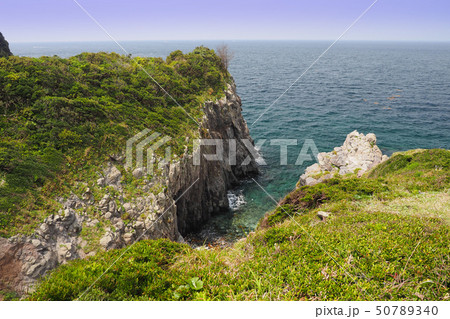 崖っぷち 50789340