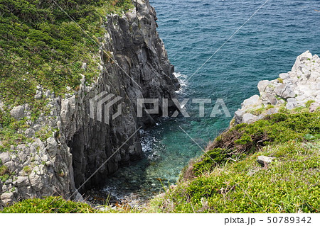 崖っぷち 50789342