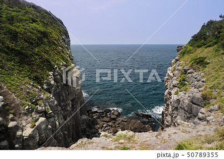 崖っぷち 50789355