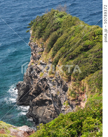 崖っぷち 50789372