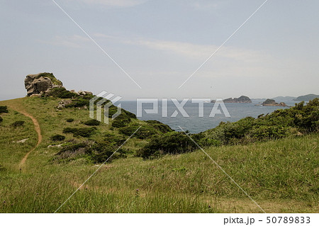 猿岩(猿岩の近辺) 猿岩(猿岩の近辺) 50789833