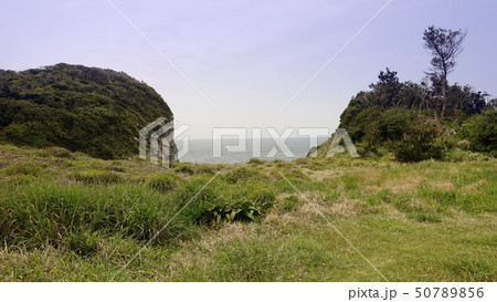 猿岩(猿岩の近辺) 50789856