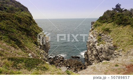 猿岩(猿岩の近辺) 50789857