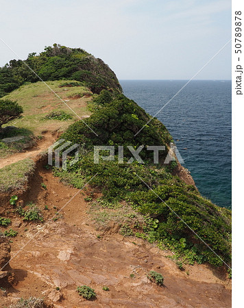 猿岩(猿岩の近辺) 50789878