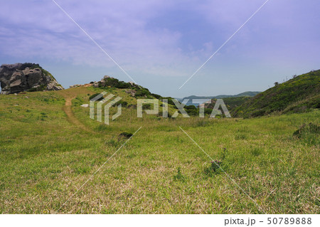 猿岩(猿岩の近辺) 猿岩(猿岩の近辺) 50789888