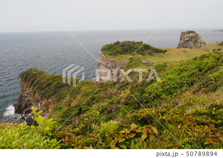 猿岩(猿岩の近辺) 50789894