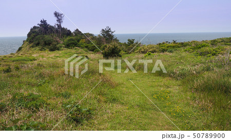 猿岩(猿岩の近辺) 50789900