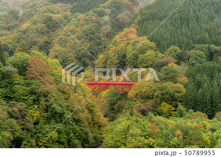Autumn season at Matsu river gorge with red bridge 50789955