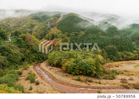 Autumn season at Matsu river gorge with red bridge 50789956