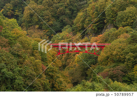 Autumn season at Matsu river gorge with red bridge 50789957