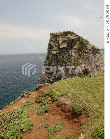 猿岩(猿岩の横から撮影) 50790084