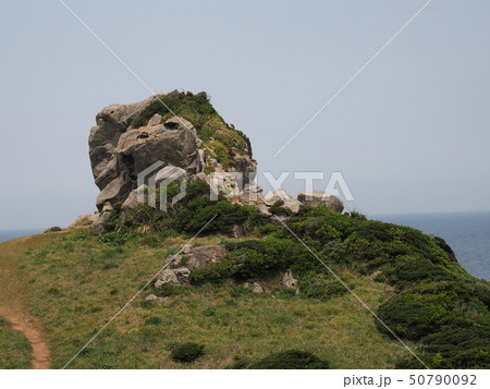 猿岩(猿岩の横から撮影) 50790092