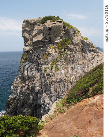 猿岩(猿岩の横から撮影) 猿岩(猿岩の横から撮影) 50790116