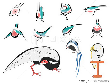 蕙斎鳥１ 50790865