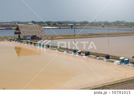 Tropical view of salt evaporation pond. Tropical view of salt evaporation pond. 50791015