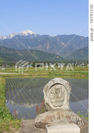 安曇野の5月 安曇野の5月 50791530