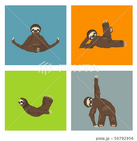 Sloth yoga collection. Funny cartoon animals in 50792956