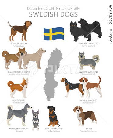 Dogs by country of origin. Sweden dog breeds. 50793796