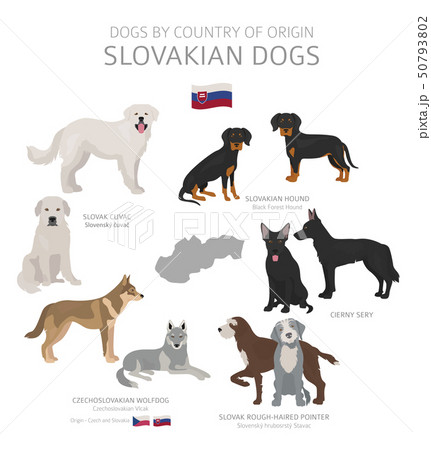 Dogs by country of origin. Slovakian dog breeds. Dogs by country of origin. Slovakian dog breeds. 50793802
