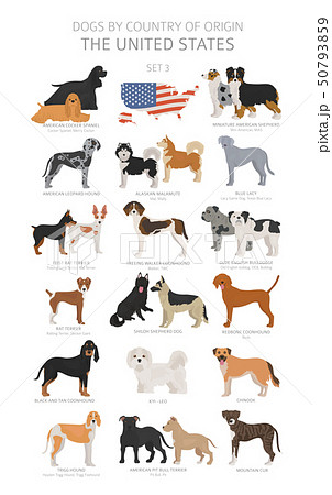 Dogs by country of origin. Dog breeds from the 50793859